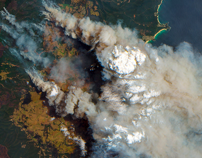 Экономист Морковкин: шашлычный набор в 2024 году стал дороже на 1025%