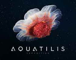 Off-White одежда в Москве на сайте Phase Outlet