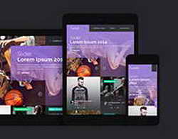 Сетевое издание Frank Media