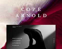 Выкатные диваны: комфорт и практичность в одном