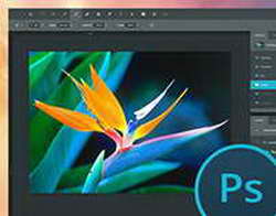 POCO F6 и POCO F6 Pro  официальные характеристики и скидки на смартфоны