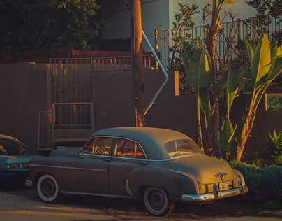 Военный билет в Москве законно - Врачебно-юридическая помощь призывникам в получении военного билета